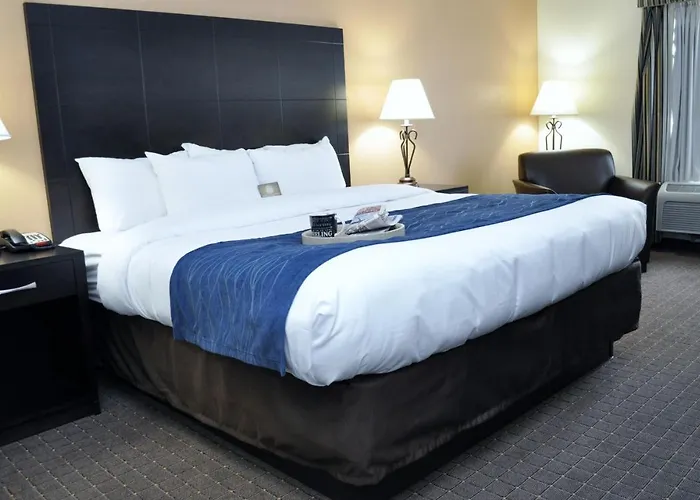 Comfort Inn Oak Ridge - Knoxville