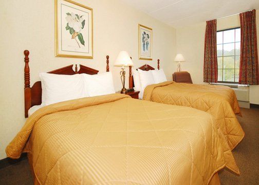Comfort - Knoxville Inn